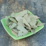 Masticare foglie di olivo fa davvero bene? Scopri tutto qui Foglie di Ulivi_Copertina